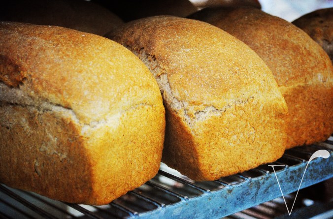 04 smell Naked-Bread-V-Tag