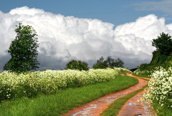 A_trail_into_the_clouds_by_endoftherainbow