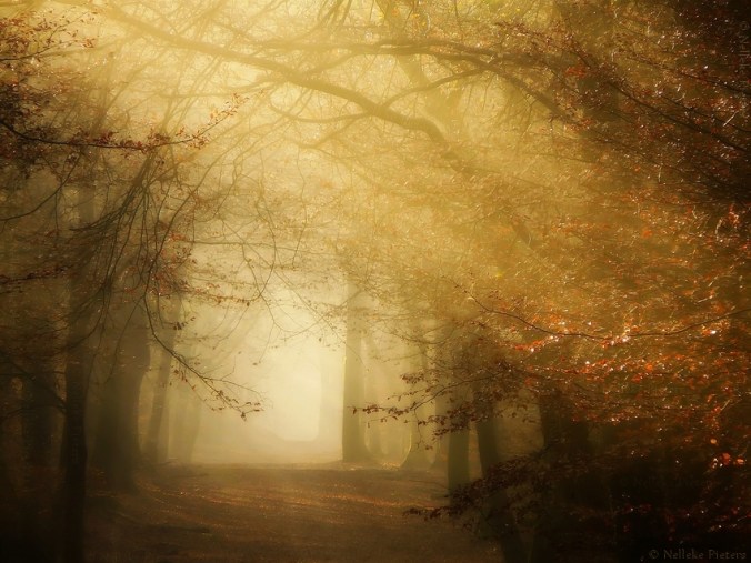 fragile_as_we_are_by_nelleke-d5dqyfs