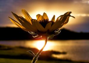 uplifting-karen-scovill