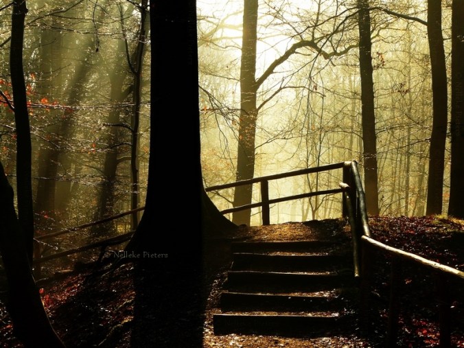 the_stillness_of_march_by_nelleke-d5h14q9