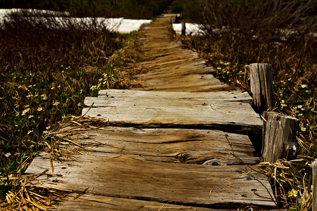 7698002802_b7995efa67_z