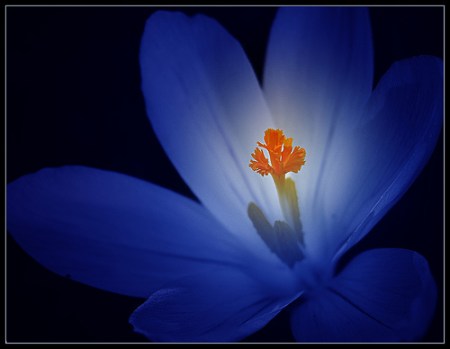 1009018202_1364565644