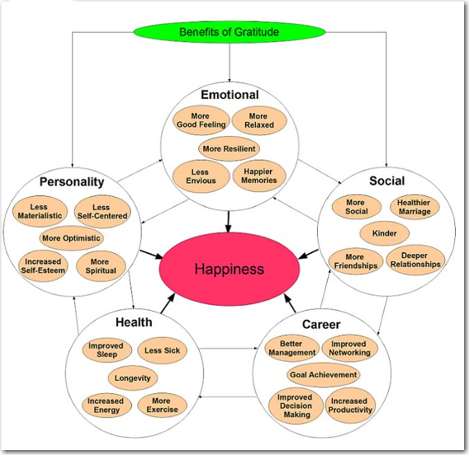 gratitude and happiness