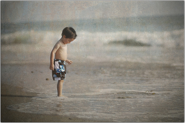 2707408502_ae675abf27_z