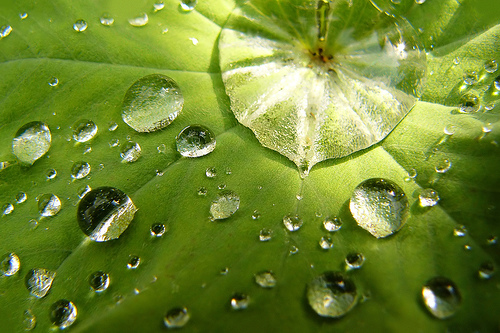 234849801_6cebb4feab