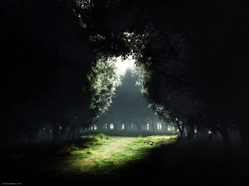 darkness_to_light_1600x1200