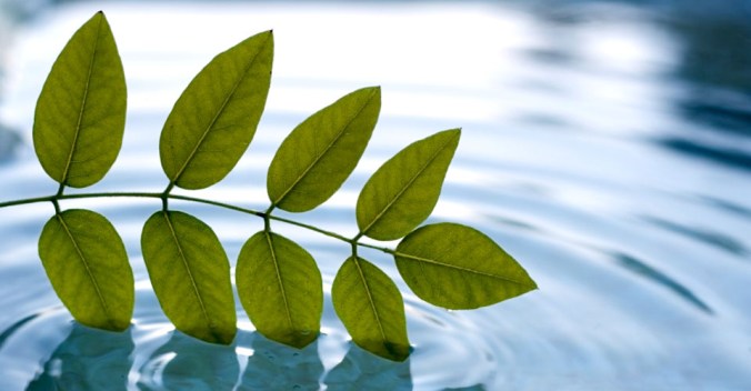 life Hero-Image-LifeSciences-General