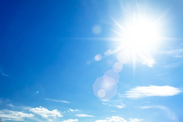 113e1c119a6303480dded9ce6bd4f8bex